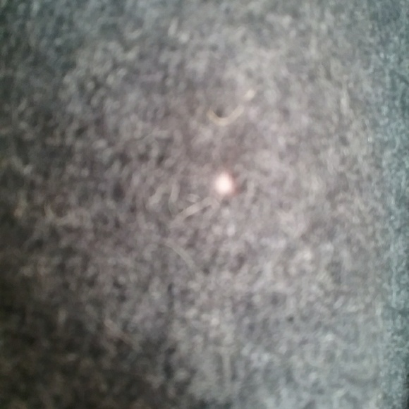 Elena Solano Charcoal Gray Boiled Wool Jacket - Picture 7 of 7